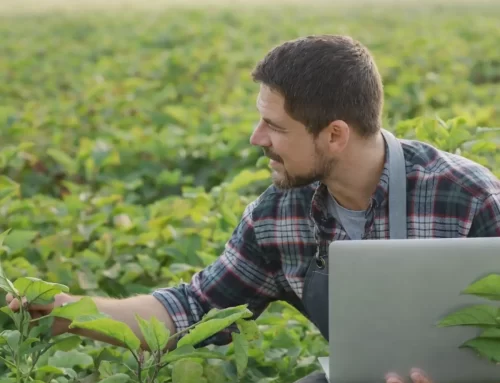 Registrare le attività con il quaderno di campagna