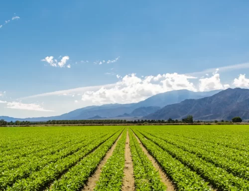 Pianifica, registra e controlla tutto con un’unica app